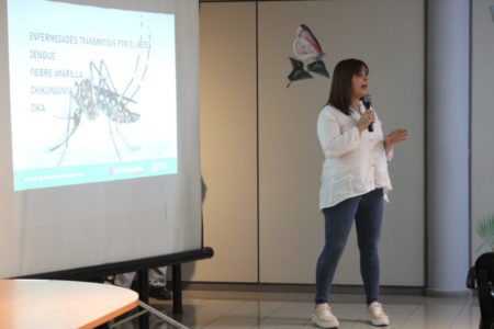 Educación y prevención: Trazan nuevas estrategias contra la proliferación del Aedes aegypti imagen-5