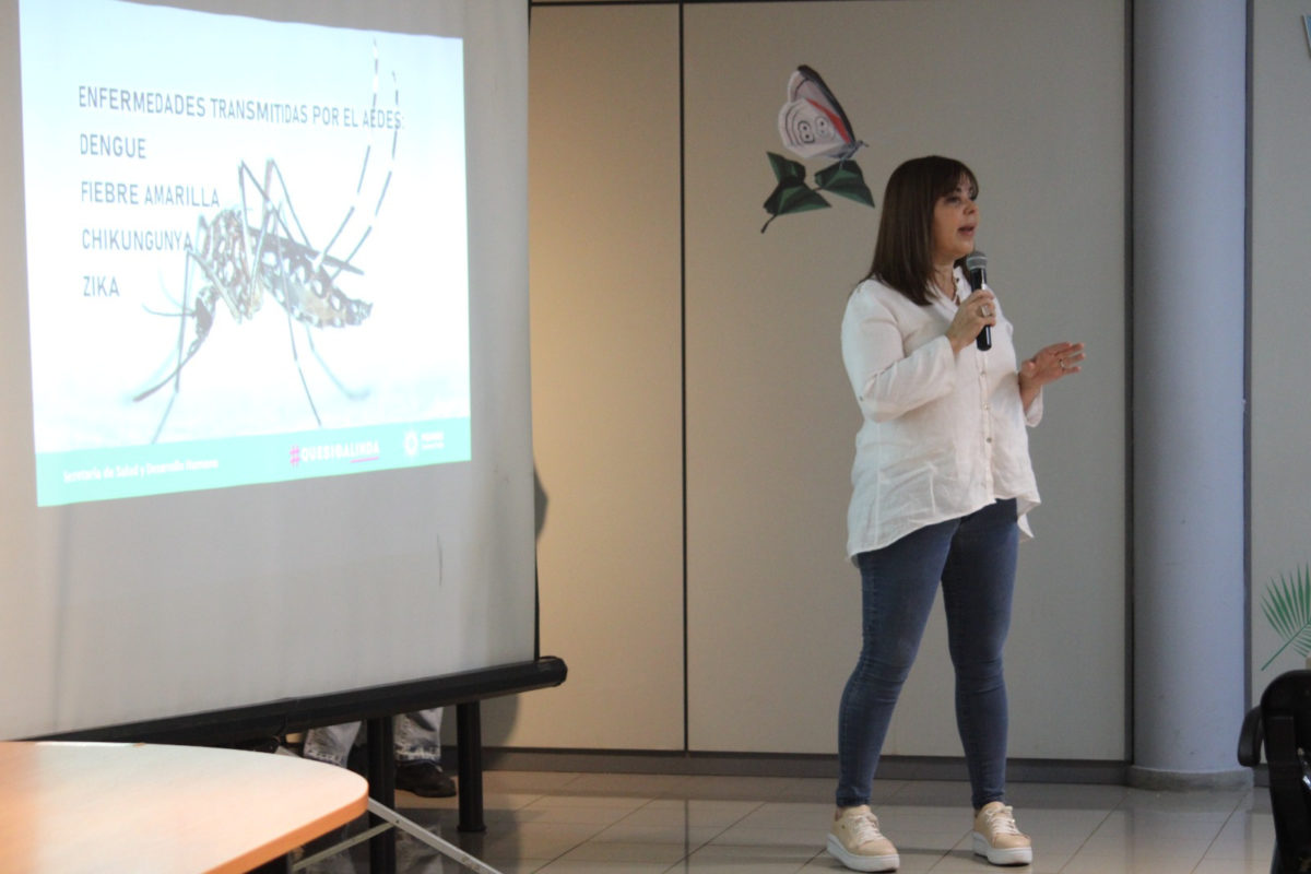 Educación y prevención: Trazan nuevas estrategias contra la proliferación del Aedes aegypti imagen-1