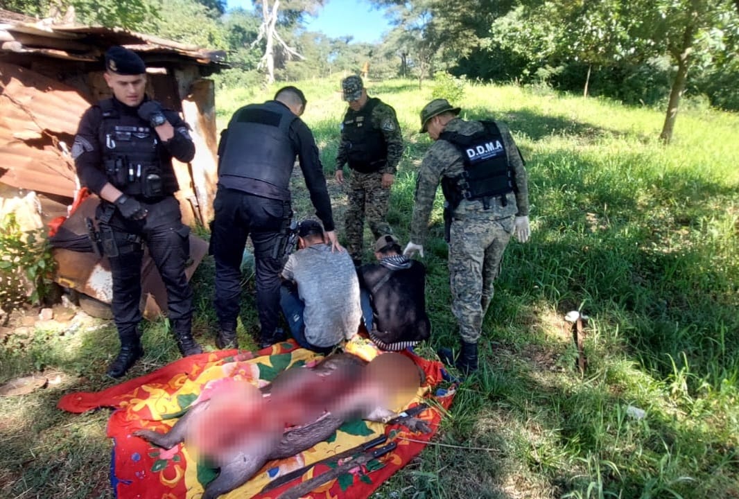 Arrestaron a dos cazadores cuando faenaban a un carpincho en Candelaria imagen-1
