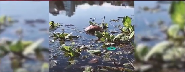 Enojo municipal por no ser avisado formalmente sobre la contaminación cloacal en aguas del Paraná imagen-62