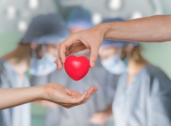 Actividades en todo el país por el Día Nacional de la Donación de Órganos, en Misiones hay una variada agenda imagen-1