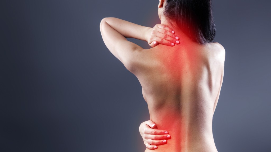 Fibromialgia, enfermedad crónica y que provoca dolor musculoesquelético es más frecuente en mujeres y requiere atención integral imagen-1