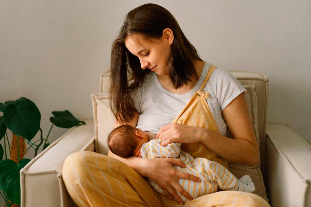 Semana del Parto Respetado: acercan información sobre de la reglamentación y habilitación de salas maternales imagen-4