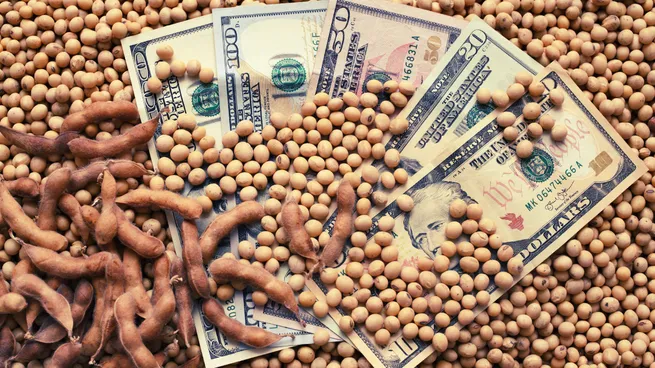 Dólar: el precio internacional y la mala cosecha de soja local afectan el ingreso de divisas al Banco Central imagen-1