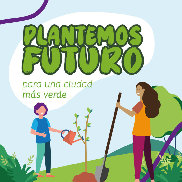 Plantemos Futuro para una ciudad más verde, proponen desde Oberá imagen-5