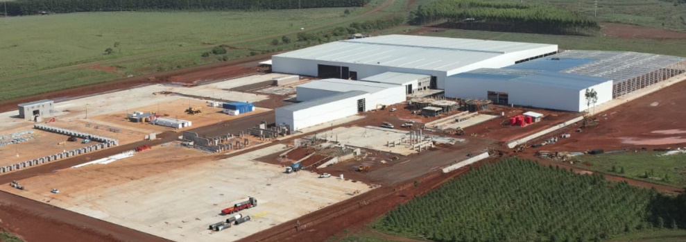 Inversores europeos construyen en Virasoro el aserradero más moderno de América Latina imagen-1
