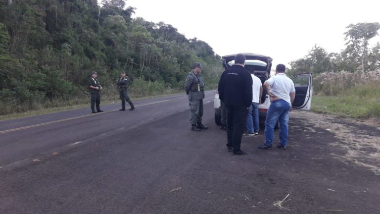 Controles de ruta e inspecciones a comercios, acciones para prevenir el ingreso de la influenza aviar altamente patógena en Misiones imagen-49