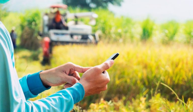 La conectividad rural a internet ya llega un millón de personas, pero no tiene alcance uniforme imagen-29