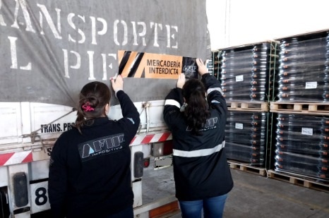 Afip incautó en Misiones 123 toneladas de soja y en Corrientes, 28 mil kilos de cebolla imagen-1