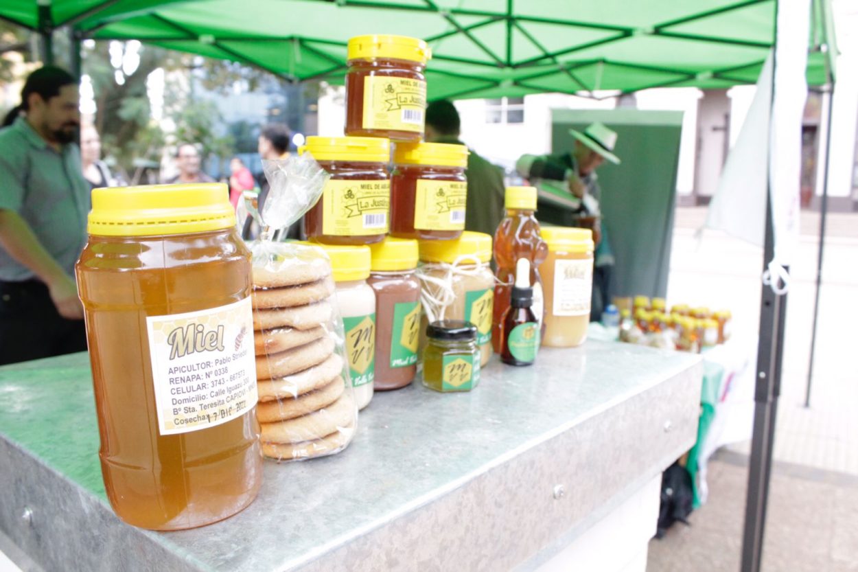 Con aporte misionero, la apicultura posiciona al país como uno de los principales exportadores mundiales de miel imagen-2