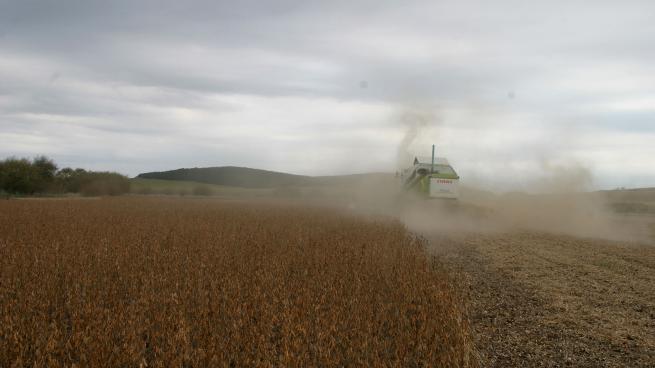 Los agroexportadores ganaron casi $ 600.000 millones extras con el dólar soja imagen-2