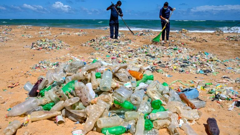 En el Día del Medio Ambiente, los expertos coinciden en que "no hay nada que festejar" imagen-5