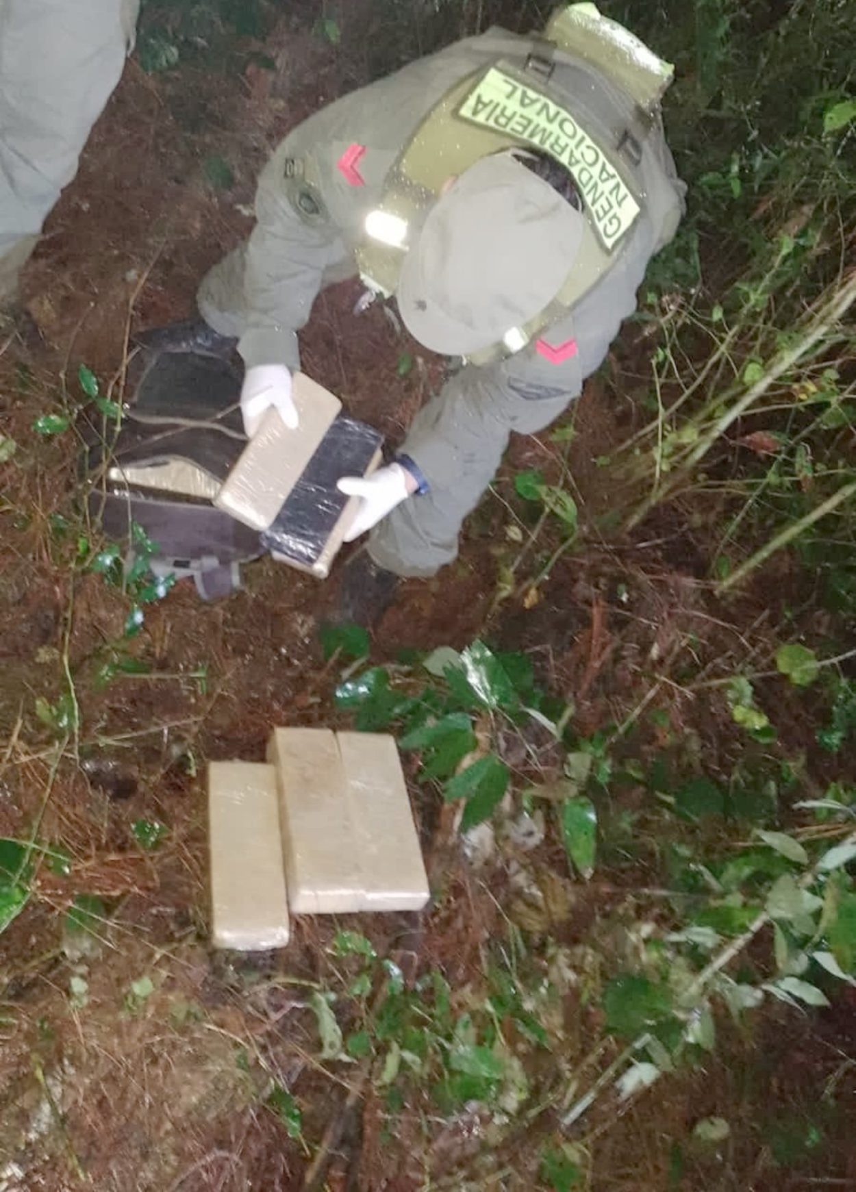 Abandonaron dos mochilas con 20 kilos de marihuana en cercanias del rio Paraná imagen-6