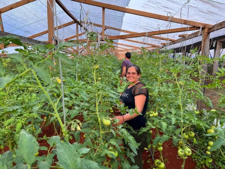 TTT: Reglamentación de la Ley de Reparación Histórica de la Agricultura Familiar “es un logro colectivo” imagen-14