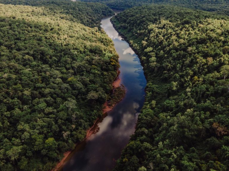 Misiones registró un índice de incendio bajo imagen-8