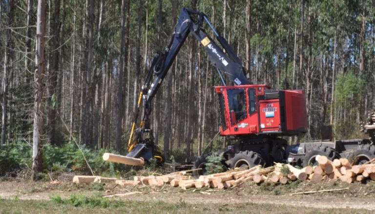 Especialista advierte que la geopolítica mundial del momento está impactando en los negocios forestales imagen-17