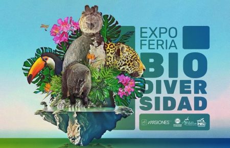 “Feria de la Biodiversidad”, este lunes, por el 5to aniversario del Imibio en la Costanera de Posadas imagen-6