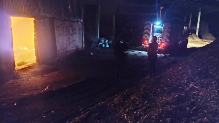 Voraz incendio destruyó secadero de yerba en la zona Centro imagen-31