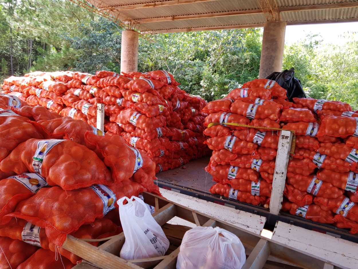 Aduana advirtió irregularidades en una exportación de 28 toneladas de cebollas a Brasil a través de Corrientes imagen-4