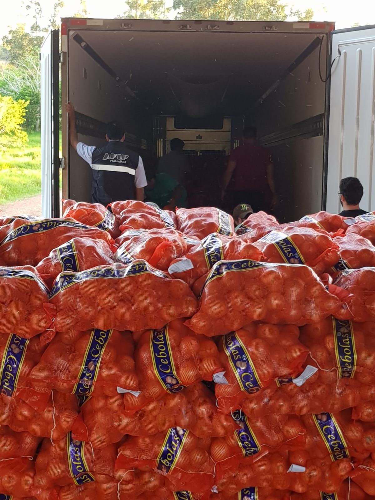 Aduana advirtió irregularidades en una exportación de 28 toneladas de cebollas a Brasil a través de Corrientes imagen-6