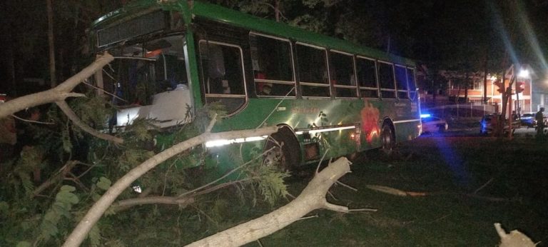 Despistó un colectivo y chocó contra un árbol, hay varios lesionados imagen-15