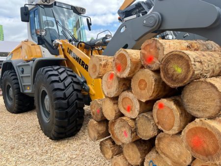 "El mundo está viendo a la madera renovable, amigable con el ambiente y a Misiones le da muy buenas expectativas", señala experto en foresto-industria imagen-6