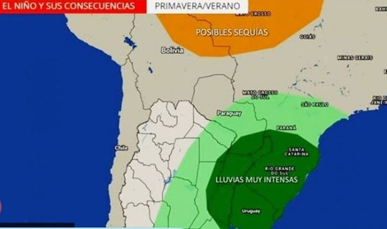 Llega "El Niño": prevén temperaturas atípicas y lluvias imagen-23