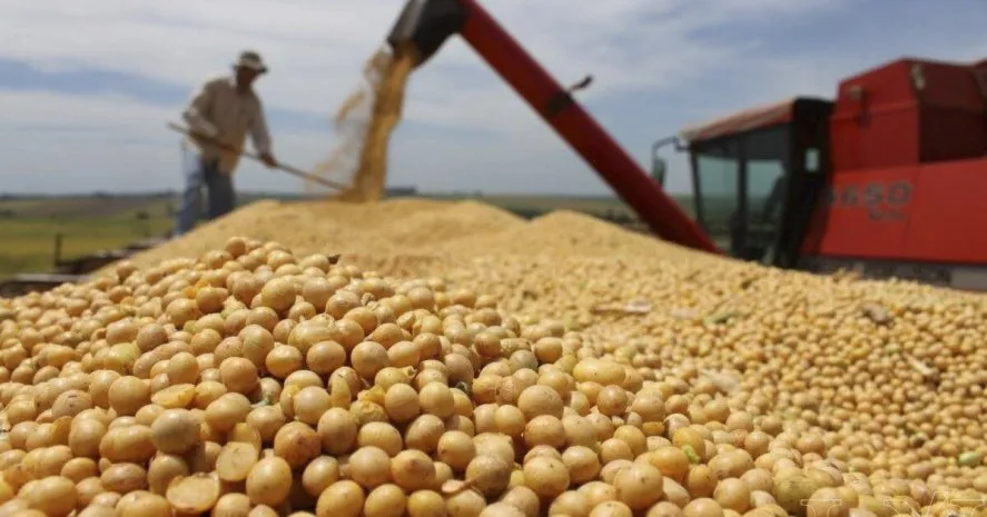 Los agroexportadores ganaron casi $ 600.000 millones extras con el dólar soja imagen-1