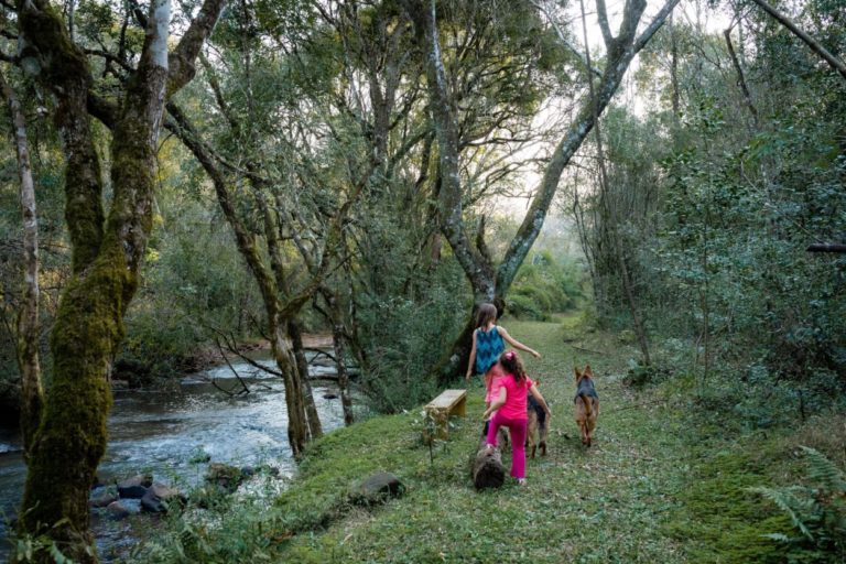 Nueva reserva privada: dos emprendedores de General Alvear sumaron su chacra al Sistema de Áreas Naturales Protegidas imagen-9