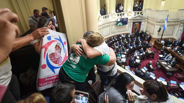 Ley Lucio: los detalles de la reglamentación que comenzó a regir este lunes imagen-32