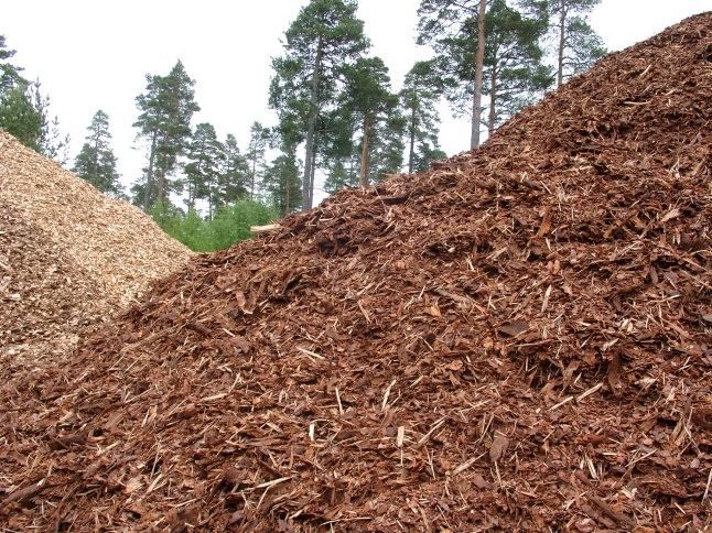 Nación reconoce la biomasa como energía renovable, a propuesta de Misiones: “un golazo” imagen-1