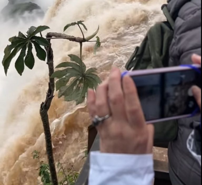 Cataratas: Desde el Circuito Superior se puede apreciar el espectáculo único que ofrece el Iguazú imagen-19