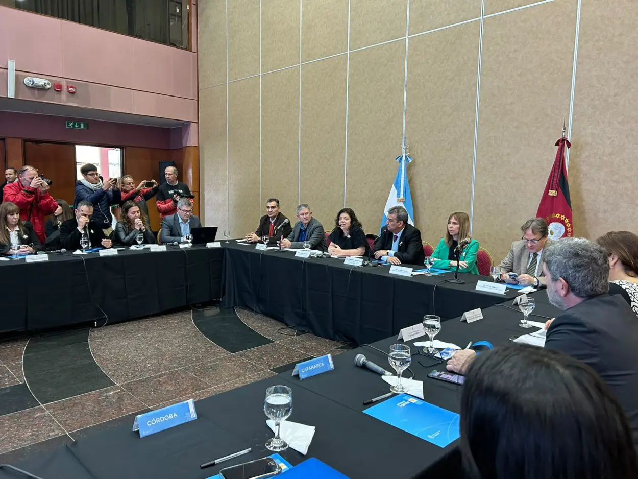 El ministro Alarcón participa en Salta de la reunión ordinaria del Consejo Federal de Salud imagen-4