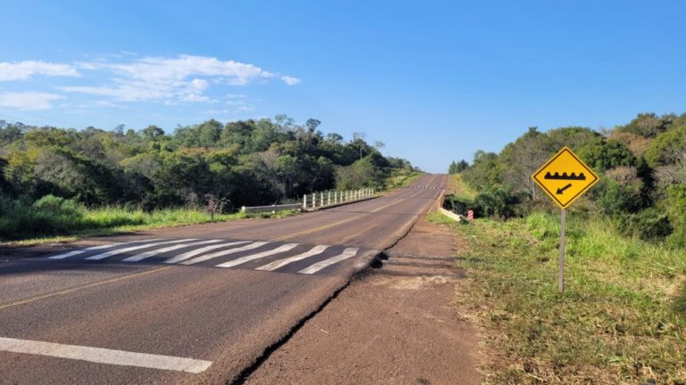 Advertencia: se instalaron reductores de velocidad antes del arroyo Tigre, en Ruta Provincial 4 imagen-9