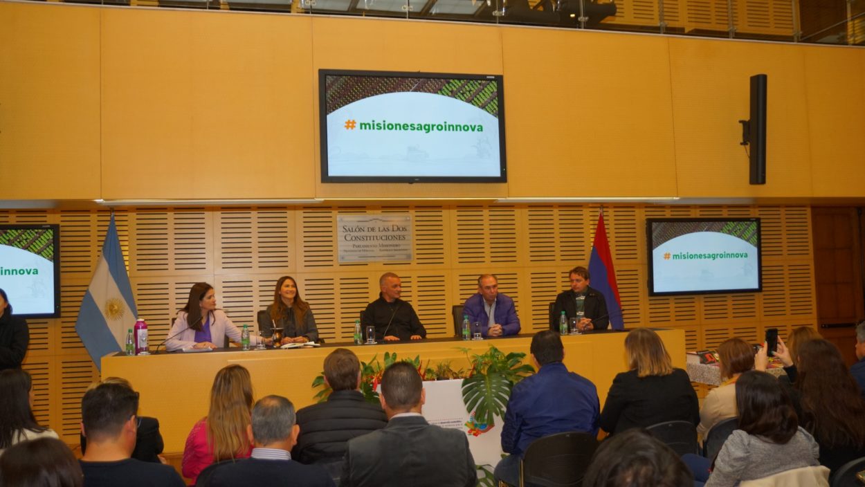 Parlamento de Misiones promueve el diálogo sobre el futuro agrícola en el Conversatorio "Jóvenes Cultivando Futuro" imagen-2