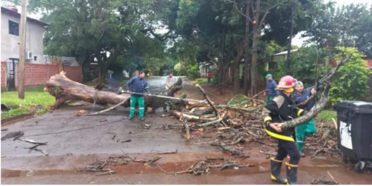 Todavía asisten a familias y chacras afectadas por la tormenta y anticipan lluvias la semana próxima imagen-50