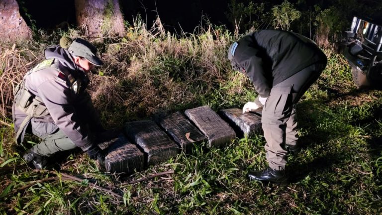 Hallan más de 96 kilos de marihuana oculta en el monte imagen-34