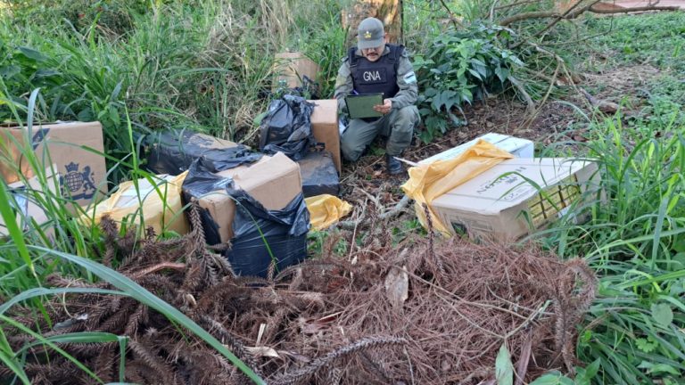 Encuentran en Wanda, 6.000 paquetes de cigarrillos abandonados entre la maleza imagen-35