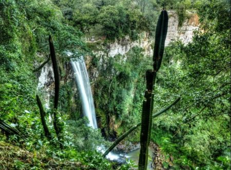 El Parque Salto Encantado, uno de los más elegidos por los visitantes en 2023 imagen-10