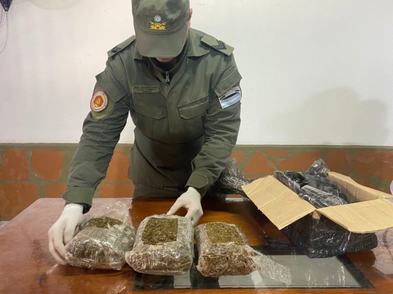 Incautan más de 20 kilos de marihuana en tres procedimientos imagen-19