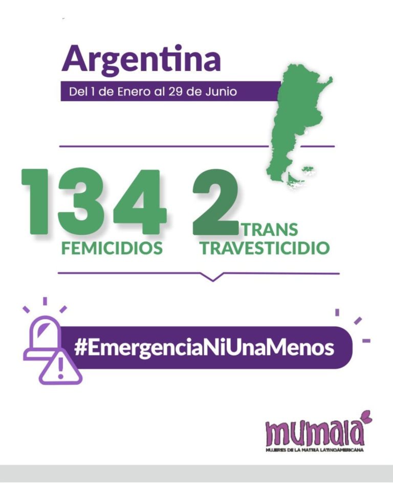 Femicidios en lo que va del año: 213 muertes violentas de mujeres, travestis - trans, en un período de una cada 20 horas imagen-29