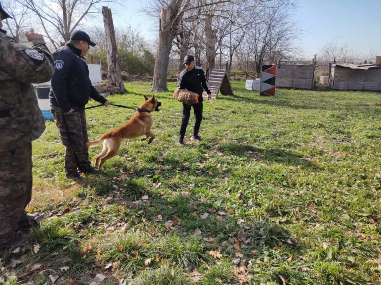 Penitenciarios se capacitaron en adiestramiento de canes antinarcóticos imagen-37