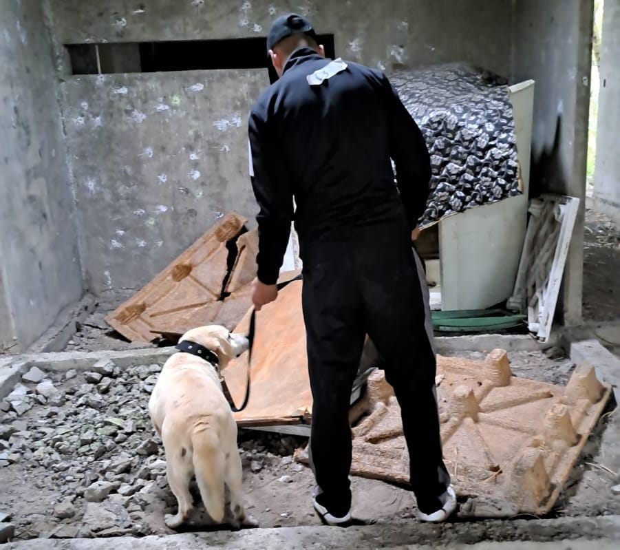 Penitenciarios se capacitaron en adiestramiento de canes antinarcóticos imagen-4