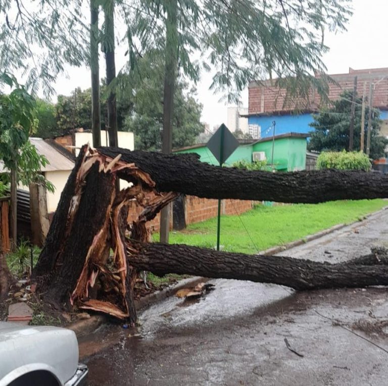 Por la tormenta, instan a tomar precauciones durante la circulación vial imagen-37