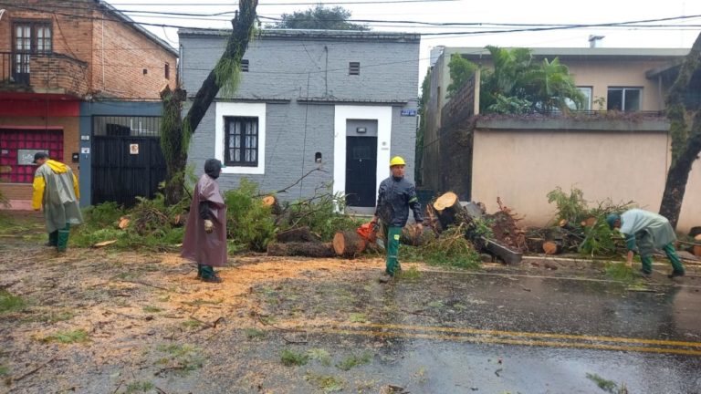 Tras la fuerte tormenta asisten a las familias afectadas imagen-31