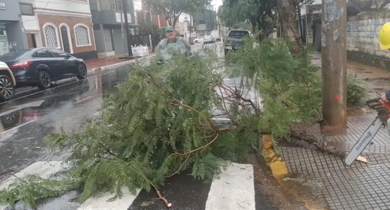 Tormenta: según el titular de la Opad, Posadas sufrió un "Reventón" imagen-35