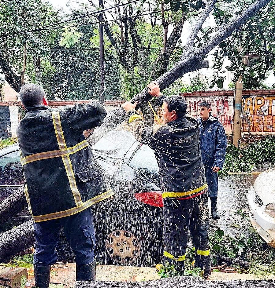 Temporal que azotó con fuerza gran parte de la provincia provocó voladura de techos, inundaciones, caída de postes y árboles imagen-4