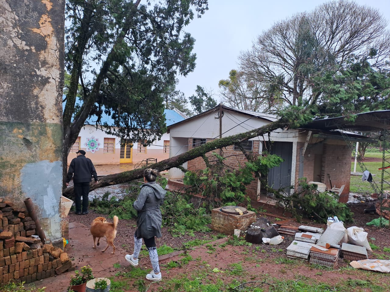 Temporal que azotó con fuerza gran parte de la provincia provocó voladura de techos, inundaciones, caída de postes y árboles imagen-16