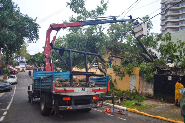 Continúan las tareas de limpieza y restauración de servicios en sectores afectados por la tormenta imagen-36