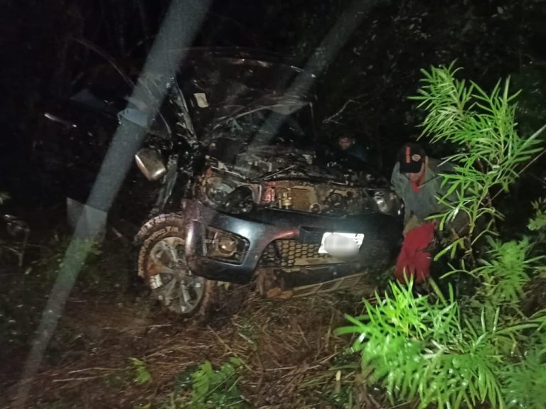 Despiste vehicular: impactó contra un árbol en la ruta 7, la familia debió ser atendida en el Hospital de Jardín América imagen-49